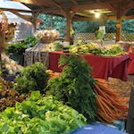 boggy creek farms austin texas